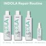 Indola - Repair Keratin Filler Treatment Leave-in spray - 300 ml