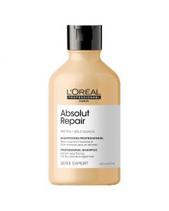 absolut repair shampoo